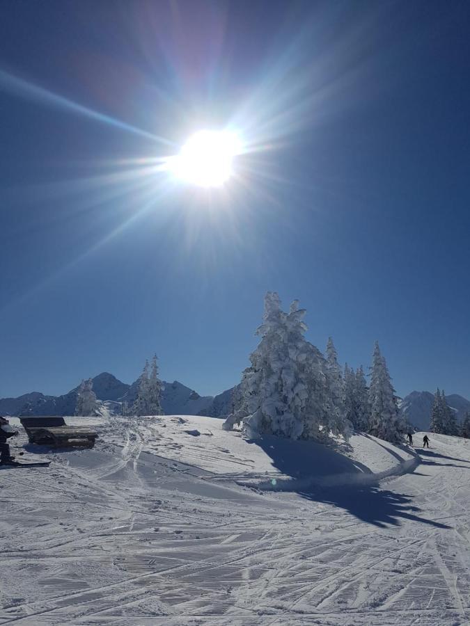 Ferienhaus Kraiter Lägenhet Schladming Exteriör bild